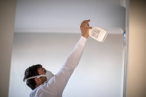 Trusted Colfax, WI Mold Remediation Experts