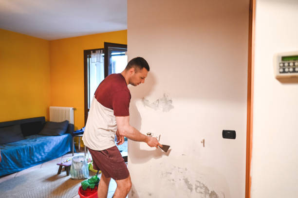 Best HVAC Mold Remediation in Colfax, WI